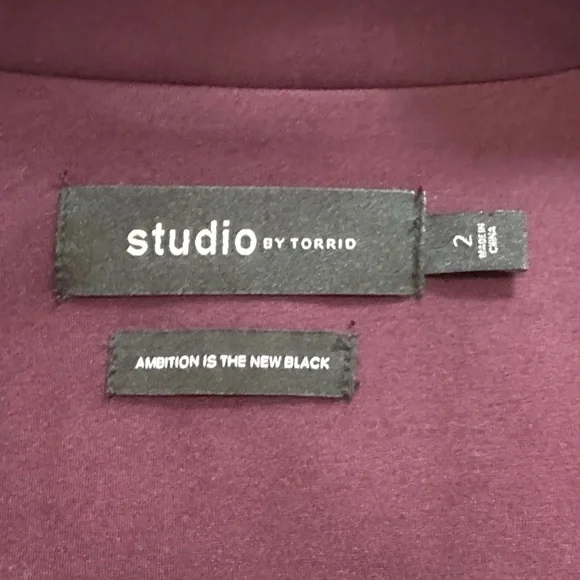 Torrid Elegant Women's Eggplant Blazer - Picture 5 of 5